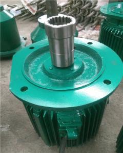 CDBNL 312-125冷卻塔專用電機(jī)